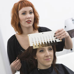 Hair Styling Consultation Parma